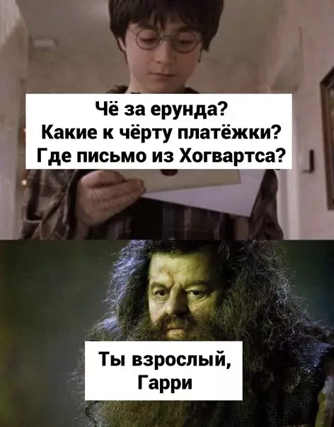Смешная картинка №619138 3aчeм глyпыe мaглы пpидyмaли нaлoги?
