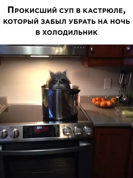 Смешная картинка №590679
