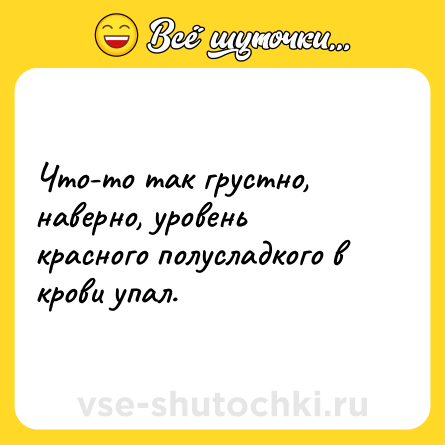 Шутка: Что-то так грустно, наверно, уровень красного полусладкого в крови упал.