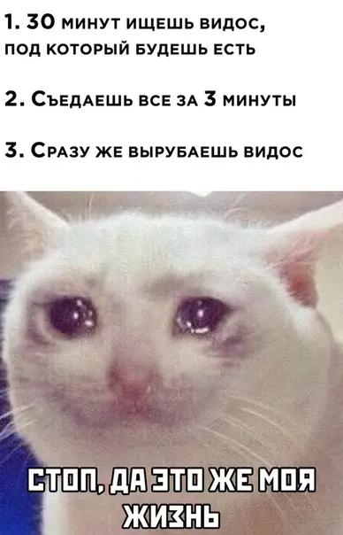 Смешная картинка №509533