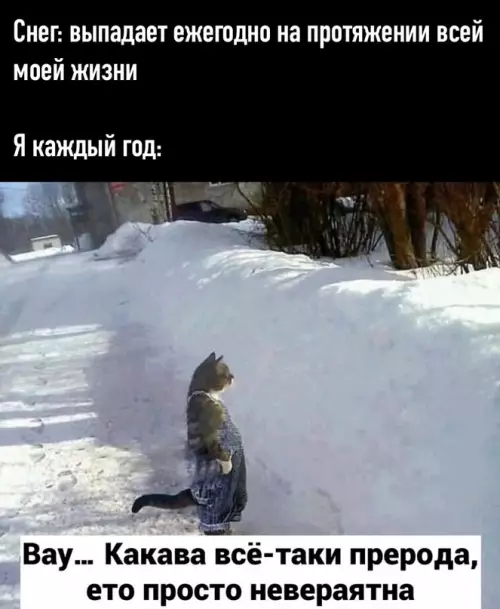 Смешная картинка №624194