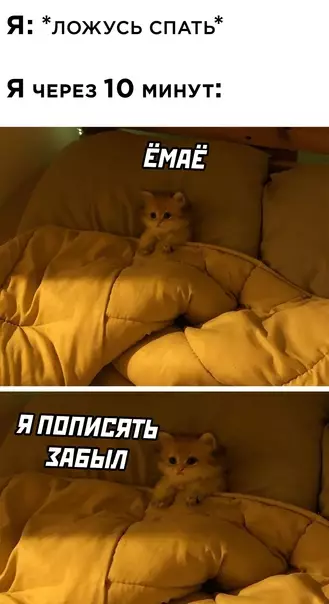 Смешная картинка №610127 Сон