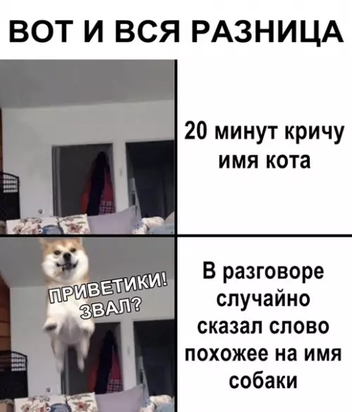 Смешная картинка №356457 животные