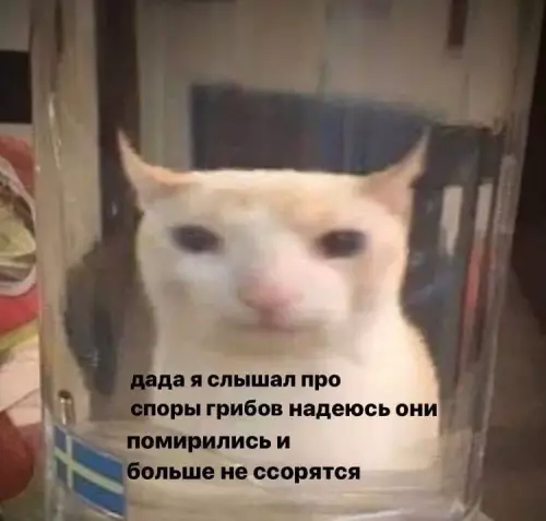 Смешная картинка №666476