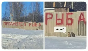 Смешная картинка №803415