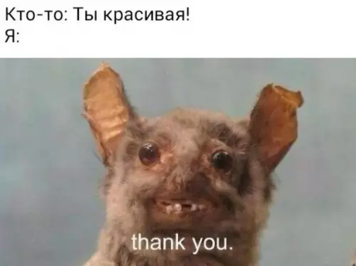 Смешная картинка №362166
