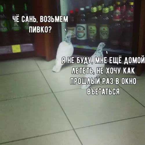 Смешная картинка №237159