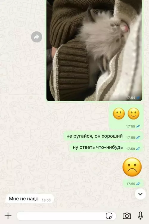 Смешная картинка №821491 Оказалось нужен