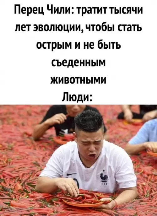 Смешная картинка №646266