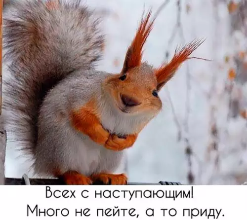 Смешная картинка №234976