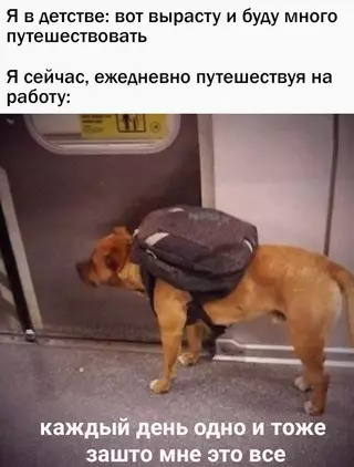Смешная картинка №663819