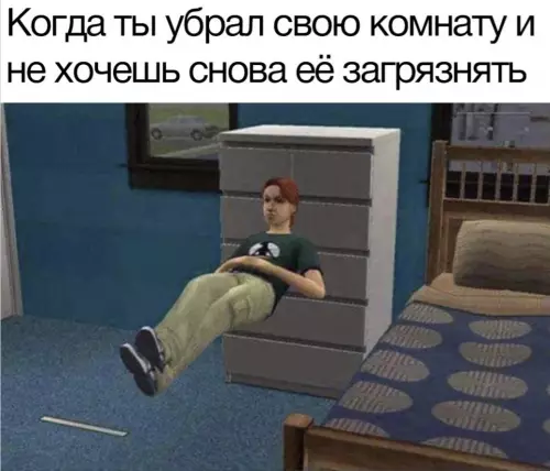 Смешная картинка №697239 Иногда так не хочется убираться в комнате но нужно
