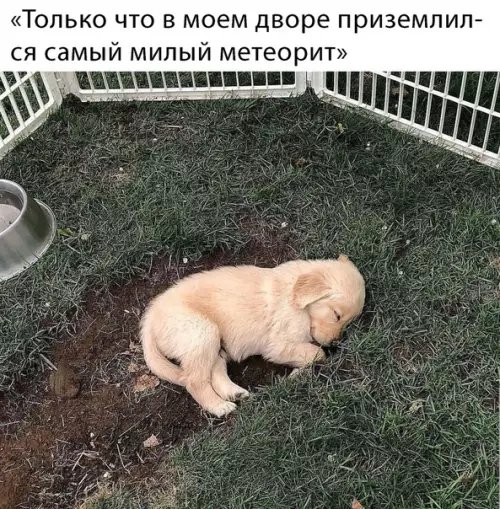 Смешная картинка №463766