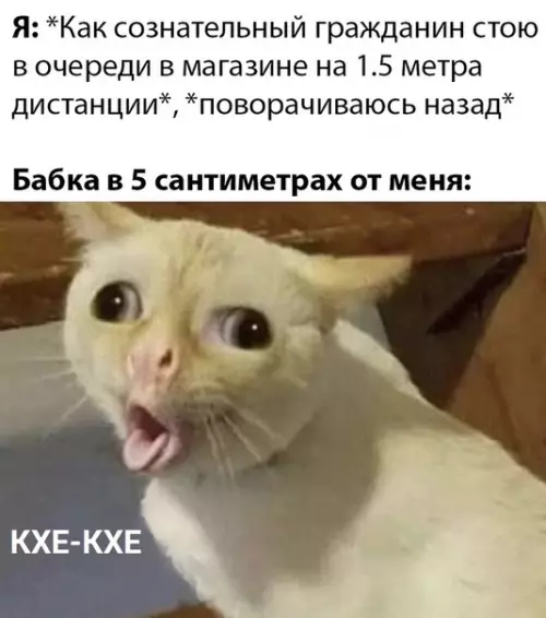 Смешная картинка №489047