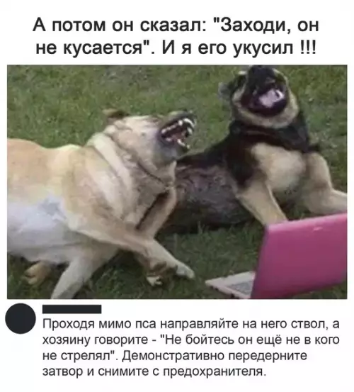 Смешная картинка №544371 Наука недобросовестным собачникам.