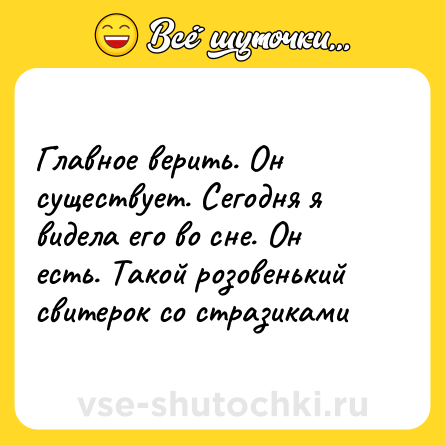 Шутка: Главное верить. Он существует. Сегодня я видела его во сне. Он есть. Такой розовенький свитерок со стразиками