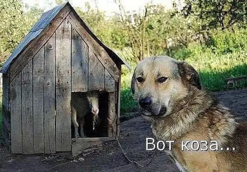 Смешная картинка №371014