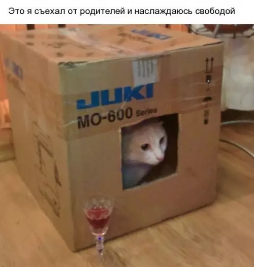Смешная картинка №253400
