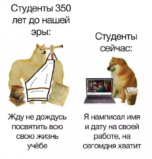 Смешная картинка №720015 Студенты 