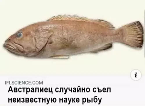 Смешная картинка №628777