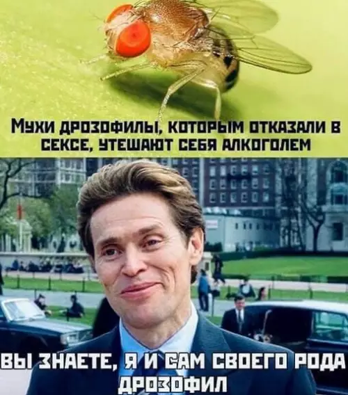 Смешная картинка №563941