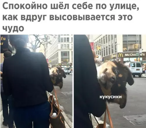 Смешная картинка №253658