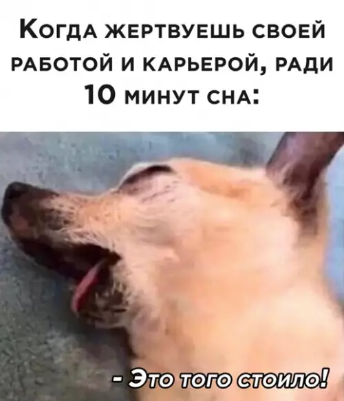 Смешная картинка №540747