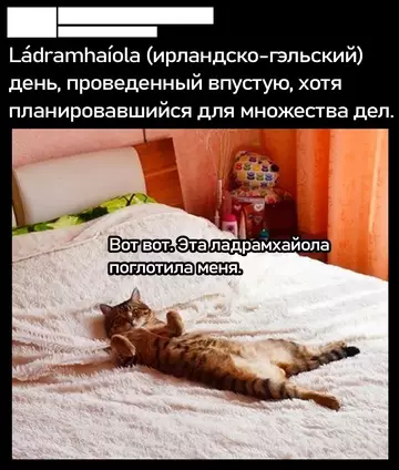 Смешная картинка №740102