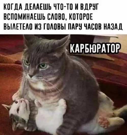 Смешная картинка №743552 Жизненно