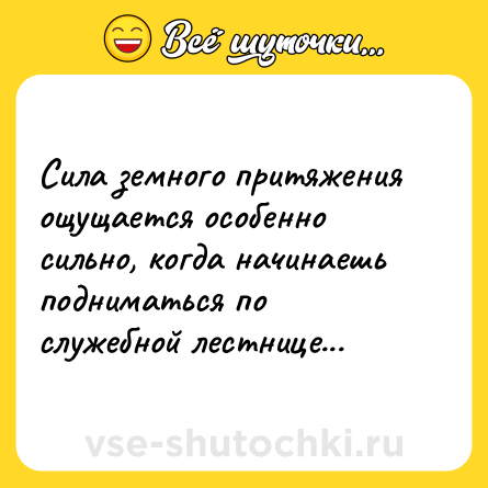 Шутка: Сила земного притяжения ощущается особенно сильно, когда начинаешь подниматься по служебной лестнице...