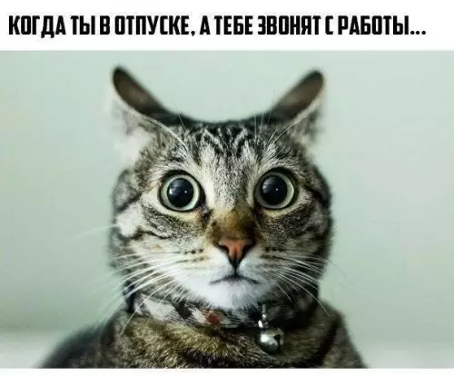 Смешная картинка №242949