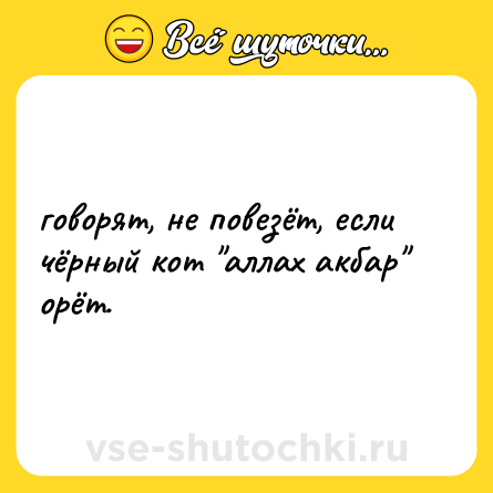 Шутка: говорят, не повезёт, если чёрный кот 