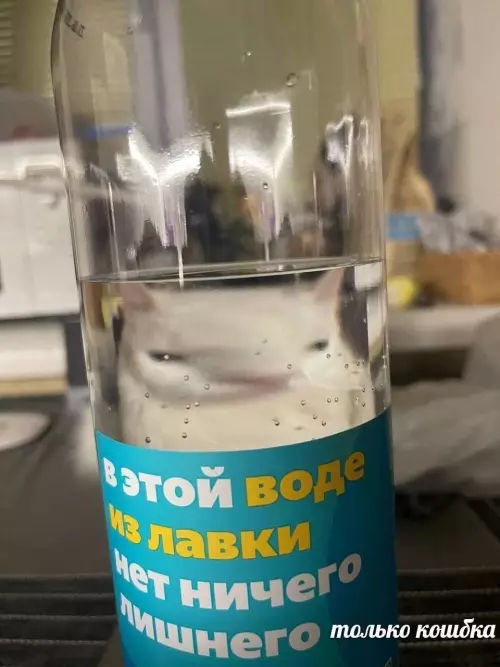 Смешная картинка №734458 Это не лишнее коты