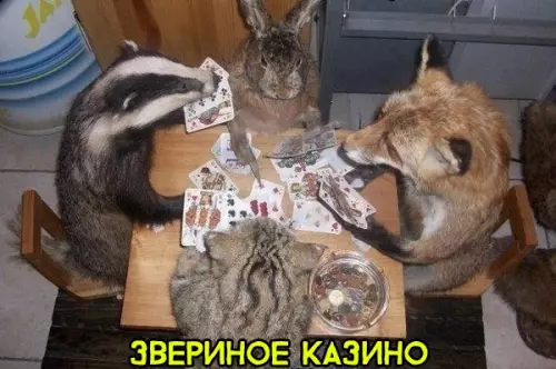 Смешная картинка №285681