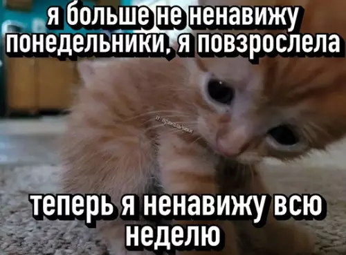 Смешная картинка №761143