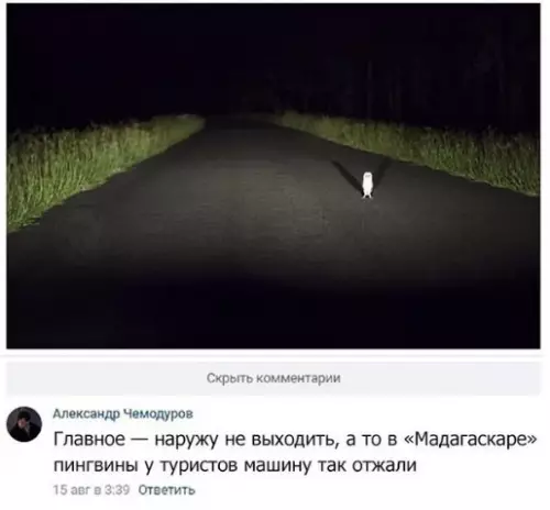 Смешная картинка №278156