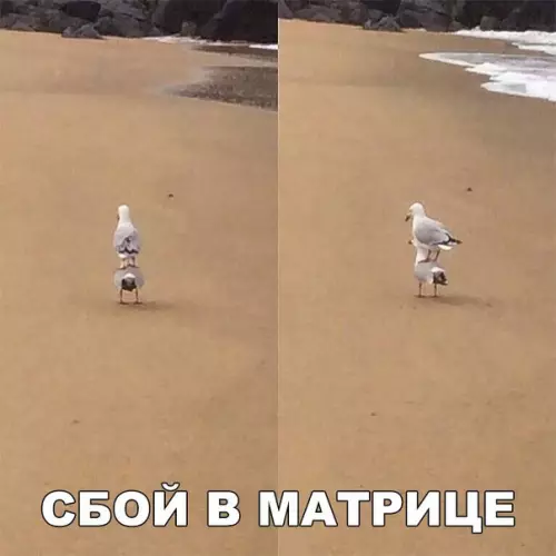 Смешная картинка №252894