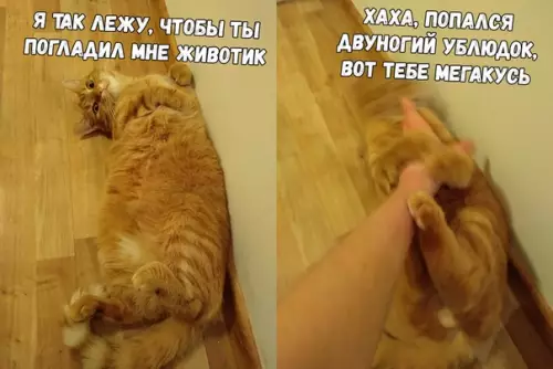 Смешная картинка №321778