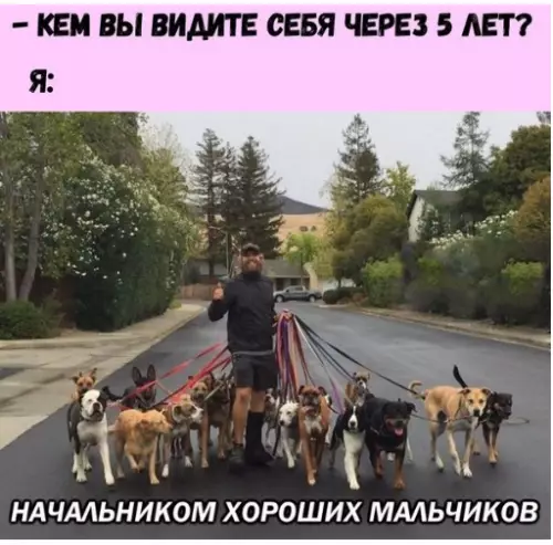 Смешная картинка №310404