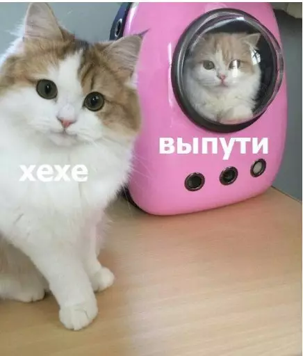 Смешная картинка №213423