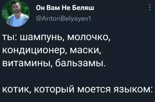 Смешная картинка №622056 Какой же стильный, подлец Коты