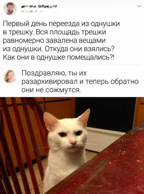 Смешная картинка №682301