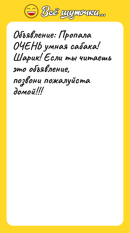 Объявление: Пропала ОЧЕНЬ умная сабака! Шарик! Если ты читаешь это