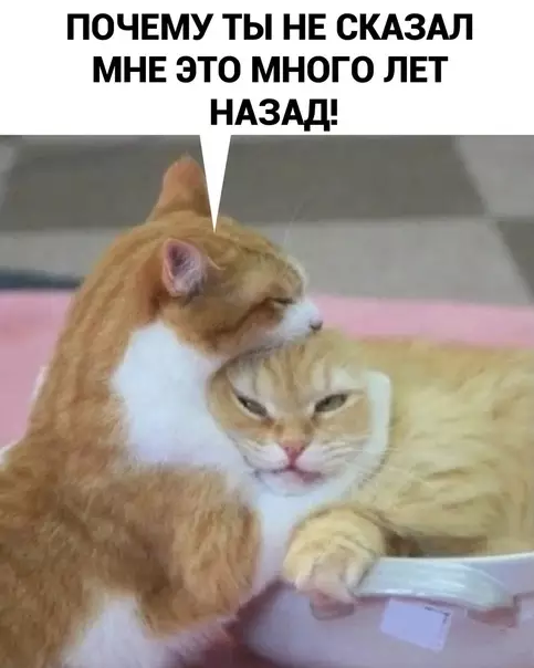 продолжение Смешная картинка №572483