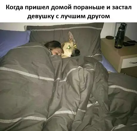 Смешная картинка №765255