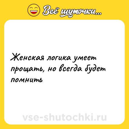Шутка: Женская логика умеет прощать, но всегда будет помнить