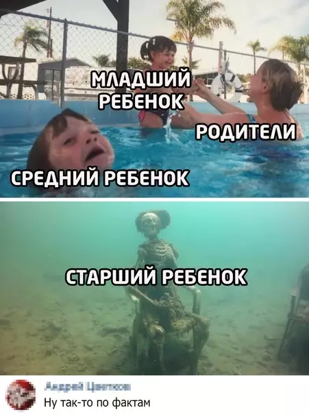 Смешная картинка №501608