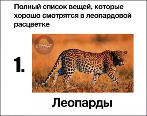 Смешная картинка №255868