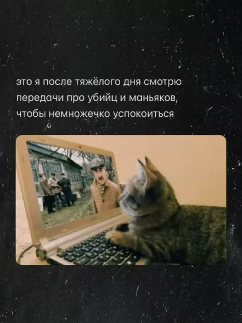 Как расслабиться после работы 🐈‍⬛💀 - это я после тяжёлого дня смотрю передачи про убийц и