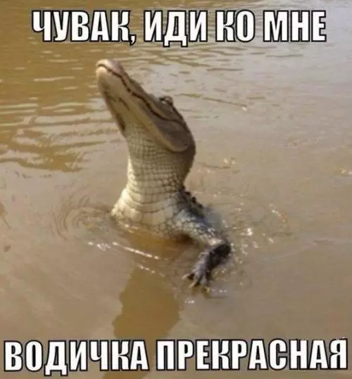 Смешная картинка №197055